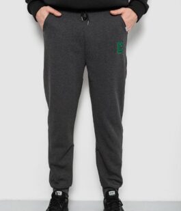 Спортивные штаны мужские на флисе, цвет грифельный, 129RA9995