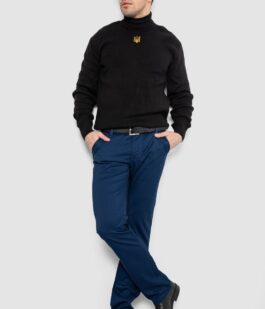 Брюки мужские, цвет синий, 244R4203B