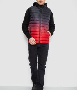 Жилетка мужская демисезонная, цвет черно-красный, 244RC999