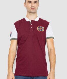 Поло мужское с принтом, цвет бордовый, 247R317