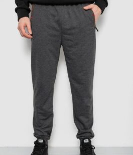 Спортивные штаны мужские, цвет серый, 244R429