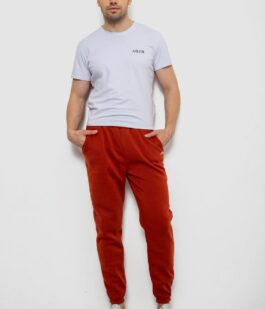 Спортивные штаны мужские на флисе, цвет терракотовый, 238R57256