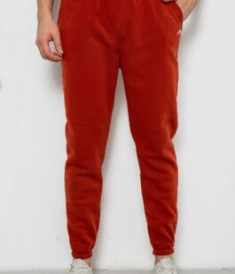 Спортивные штаны мужские на флисе, цвет терракотовый, 238R57256
