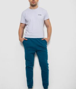 Спортивные штаны мужские на флисе, цвет изумрудный, 238R57256