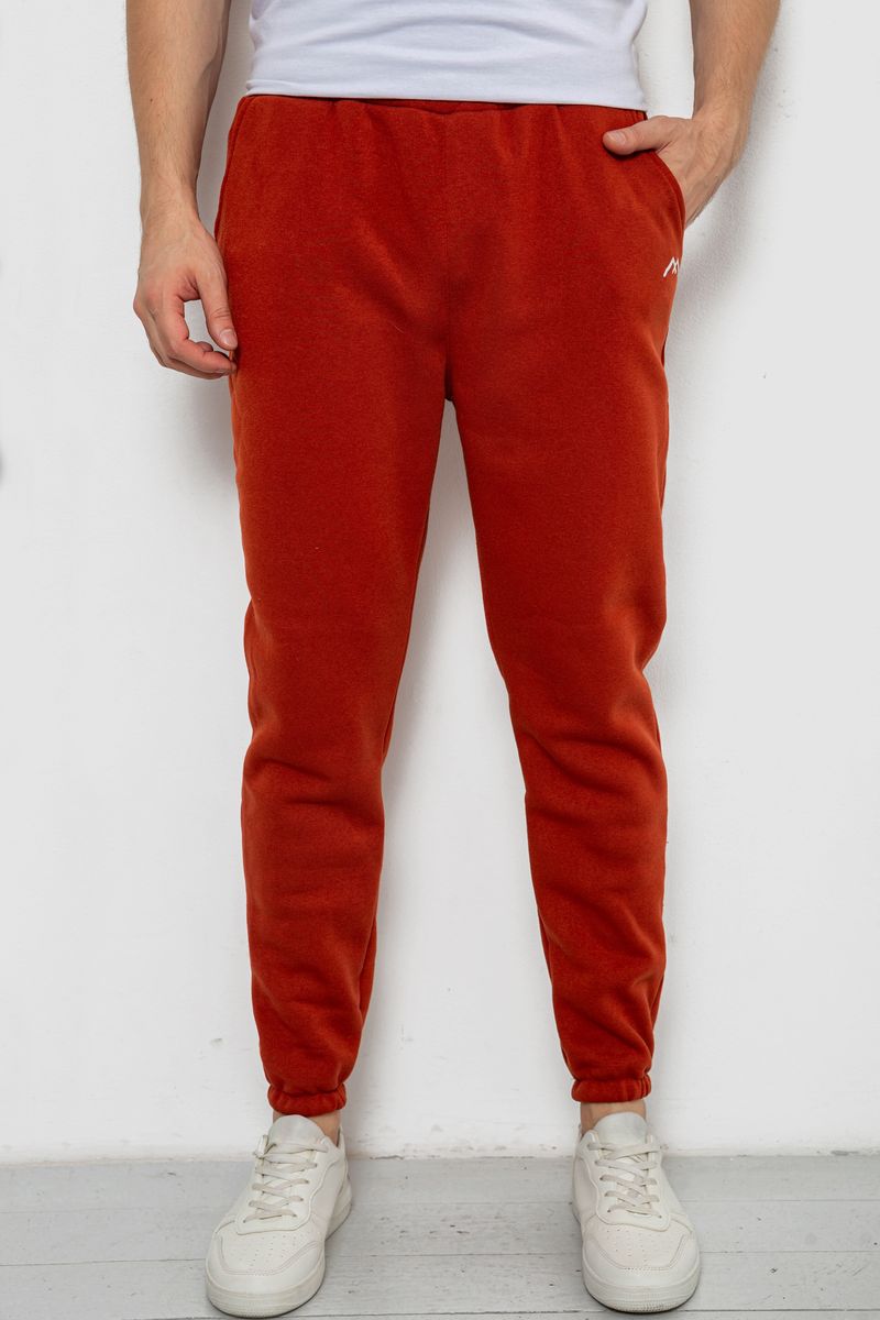 Спортивные штаны мужские на флисе