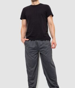 Спортивные штаны мужские, цвет темно-серый, 244R10018