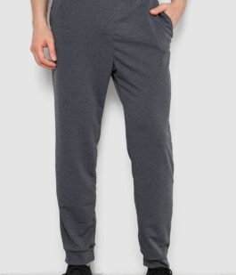 Спортивные штаны мужские, цвет серый, 238R122