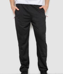 Спортивные штаны мужские, цвет черный, 244R41734