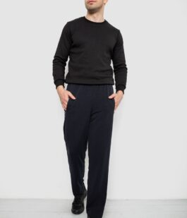 Спортивные штаны мужские однотонные, цвет темно-синий, 244R41277