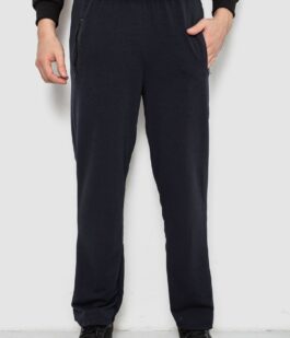 Спортивные штаны мужские однотонные, цвет темно-синий, 244R41277