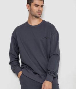 Спортивный демисезонный мужской костюм, цвет серый, 241R176