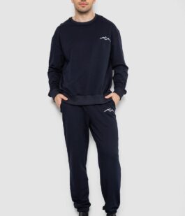 Спортивный демисезонный мужской костюм, цвет темно-синий, 241R176