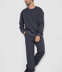 Спортивный демисезонный мужской костюм, цвет серый, 241R176