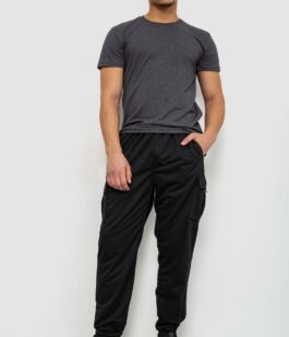 Спортивные штаны мужские, цвет черный, 244R41266