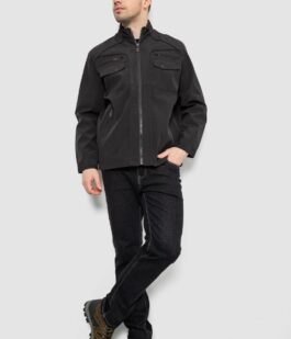 Куртка мужская демисезонная, цвет черный, 244R316K