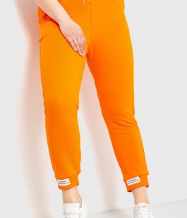 Спорт штаны женские демисезонные, цвет оранжевый, 226R027