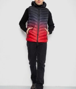 Жилетка мужская демисезонная, цвет черно-красный, 244RC888