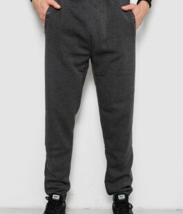 Спортивные штаны мужские на флисе, цвет серый, 244R41553