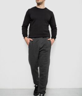 Спортивные штаны мужские на флисе, цвет серый, 244R41553