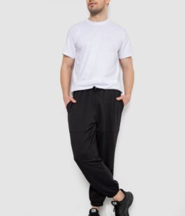 Спортивные мужские штаны демисезонные, цвет черный, 241R001-1