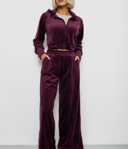 Спортивный костюм женский велюровый, цвет сливовый, 257R4125