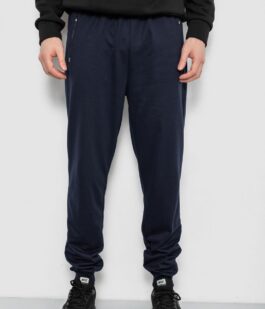 Спортивные штаны мужские, цвет синий, 244R434