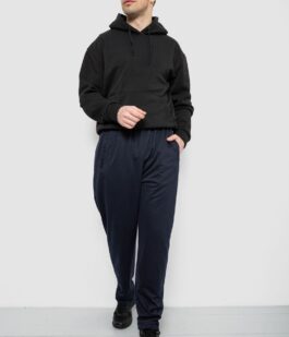 Спортивные штаны мужские, цвет синий, 244R41399