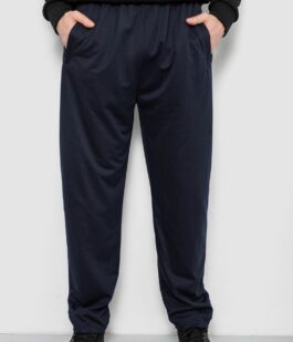 Спортивные штаны мужские, цвет синий, 244R41399