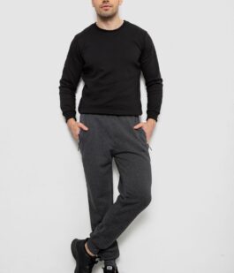 Спортивные штаны мужские на флисе, цвет серый, 244R6120