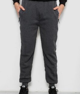 Спортивные штаны мужские на флисе, цвет серый, 244R6120