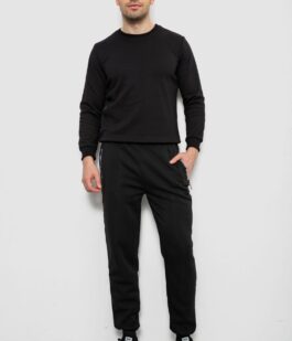 Спортивные штаны мужские на флисе, цвет черный, 244R6120