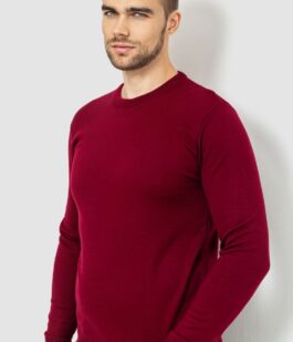 Свитер мужской однотонный, цвет бордовый, 161R1770-1