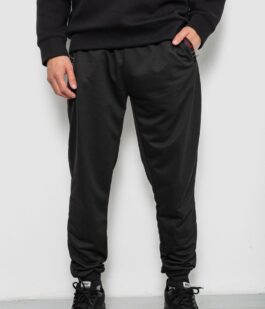 Спортивные штаны мужские однотонные, цвет черный, 244R41736