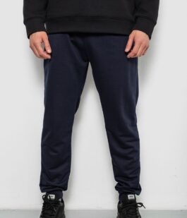 Спортивные штаны мужские однотонные, цвет синий, 244R41736