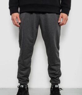 Спортивные штаны мужские однотонные, цвет серый, 244R41736