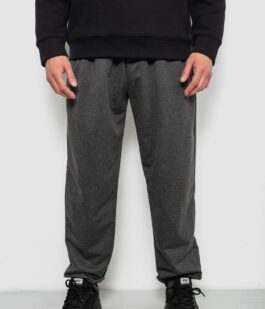 Спортивные штаны мужские однотонные, цвет серый, 244RY-428