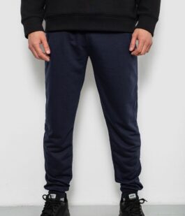 Спортивные штаны мужские однотонные, цвет синий, 244R41608