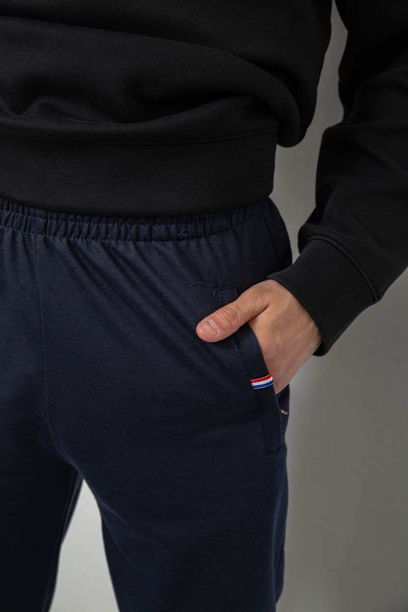 Спортивные штаны мужские однотонные, цвет синий, 244R41608 — изображение 5