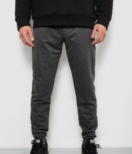 Спортивные штаны мужские однотонные, цвет серый, 244R41608