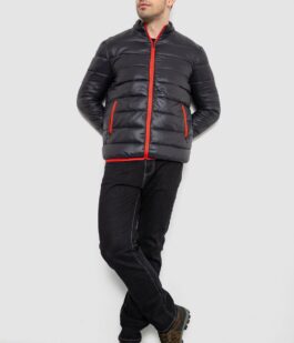 Куртка мужская демисезонная 244RL616, цвет Черный