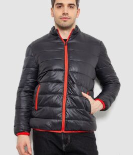 Куртка мужская демисезонная 244RL616, цвет Черный