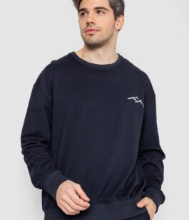 Спортивный демисезонный мужской костюм, цвет темно-синий, 241R176