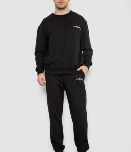 Спортивный демисезонный мужской костюм, цвет черный, 241R176