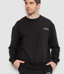 Спортивный демисезонный мужской костюм, цвет черный, 241R176