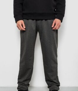 Спортивные штаны мужские однотонные, цвет серый, 244R41272