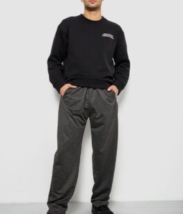 Спортивные штаны мужские однотонные, цвет серый, 244R41272