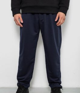 Спортивные штаны мужские однотонные, цвет синий, 244R41272