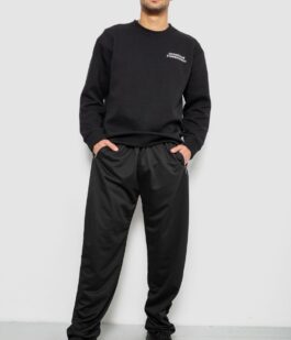 Спортивные штаны мужские однотонные, цвет черный, 244R41272