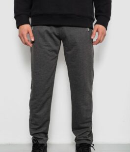Спортивные штаны мужские однотонные, цвет серый, 244R41740