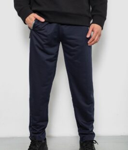 Спортивные штаны мужские однотонные, цвет синий, 244R41740